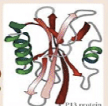 Protein structure graph example